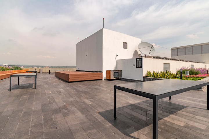 Roof garden